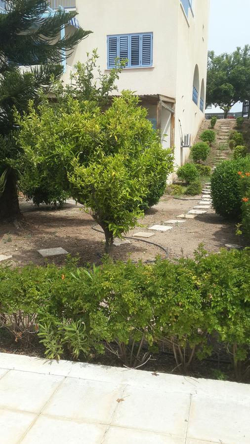 Paphos Pelagos Hill Apartment מראה חיצוני תמונה