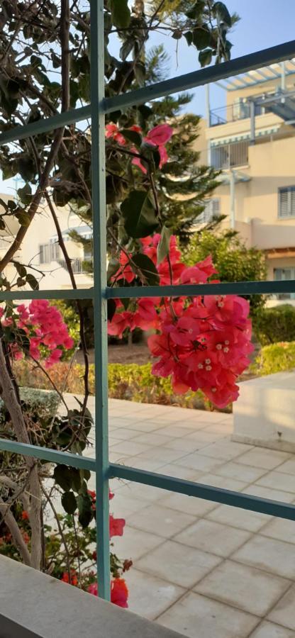 Paphos Pelagos Hill Apartment מראה חיצוני תמונה